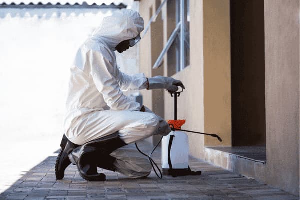 Disinfestazione ambiente