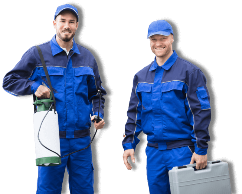 Disinfestazione professionale