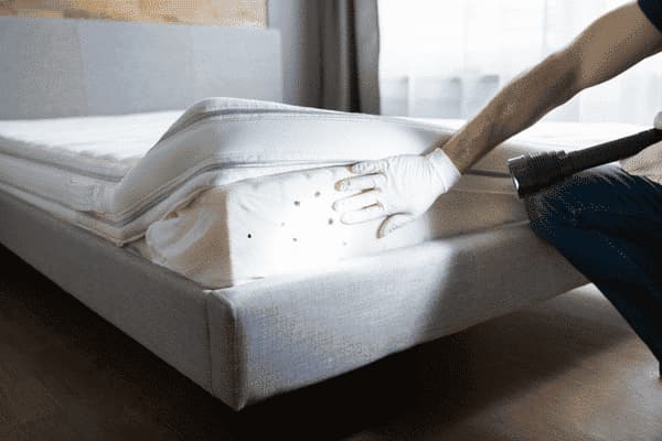 Disinfezione cimici dei letti
