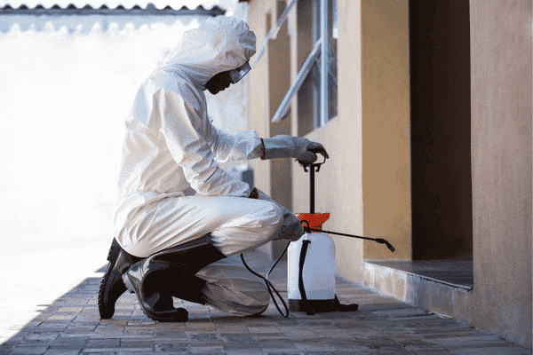 Disinfestazione ambiente