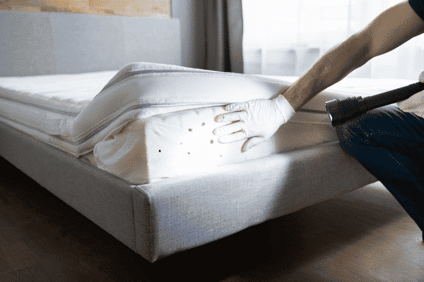 Disinfezione cimici dei letti