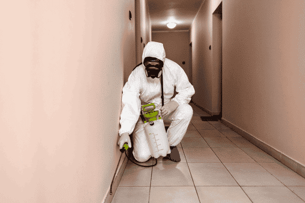 Infestazione